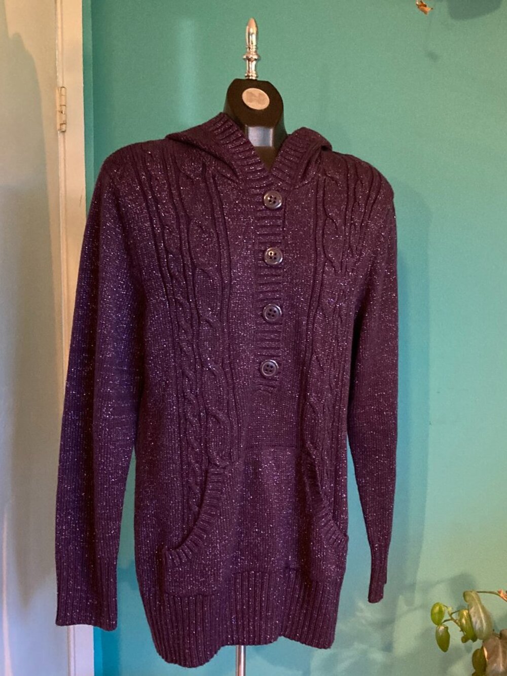 Penningtons Aubergine Sparkling Hooded Sweater